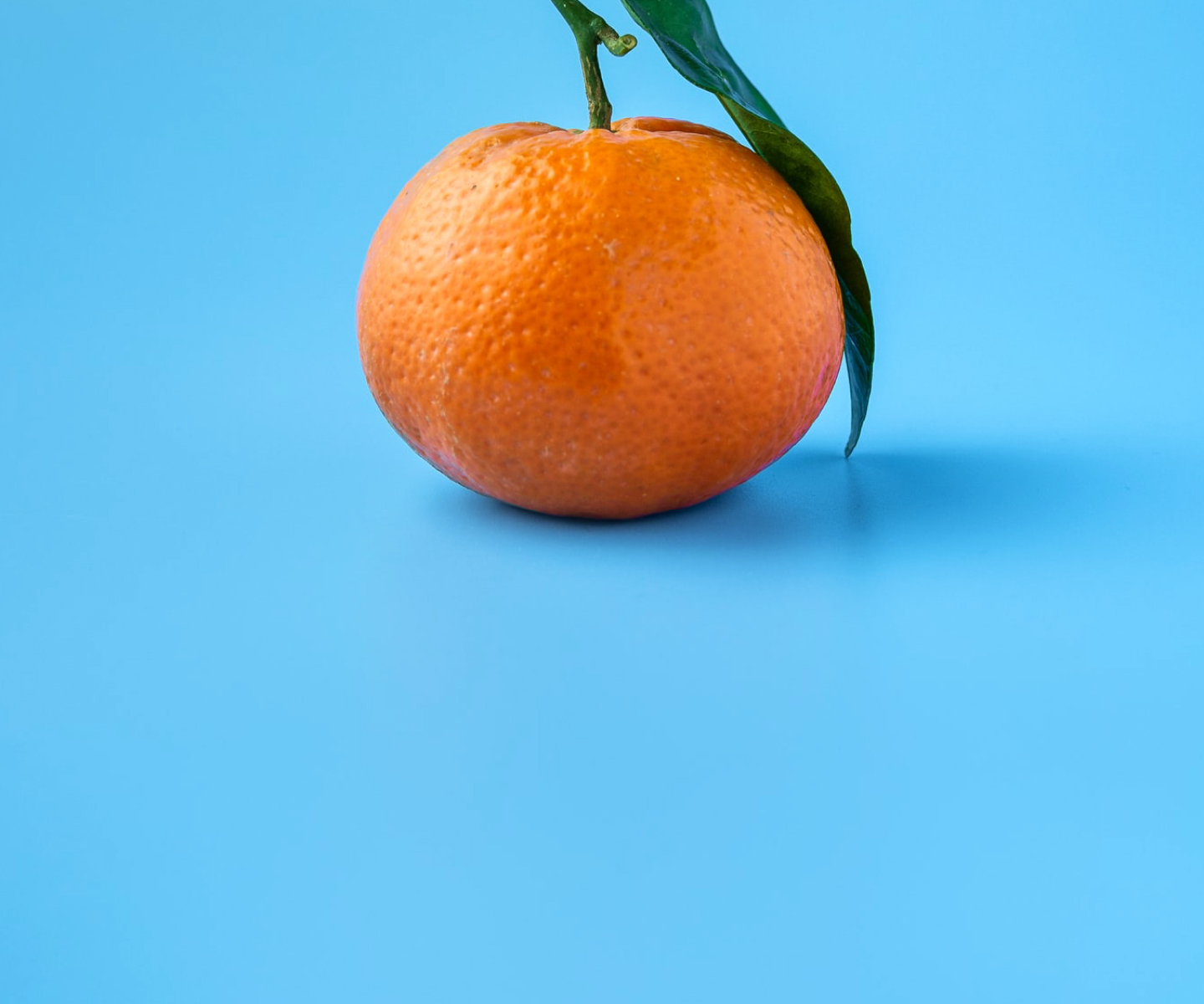 an orange